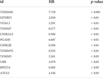 Integrative analyses of a mitophagy-related gene signature for predicting prognosis in patients with uveal melanoma